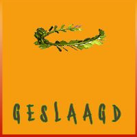 Geslaagd