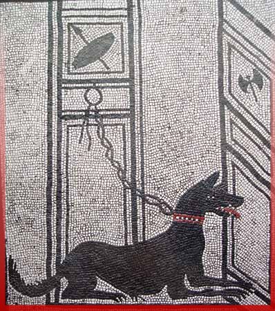 hond